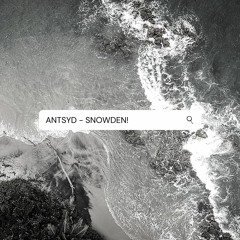 SNOWDEN! (prod. ANTSYD)