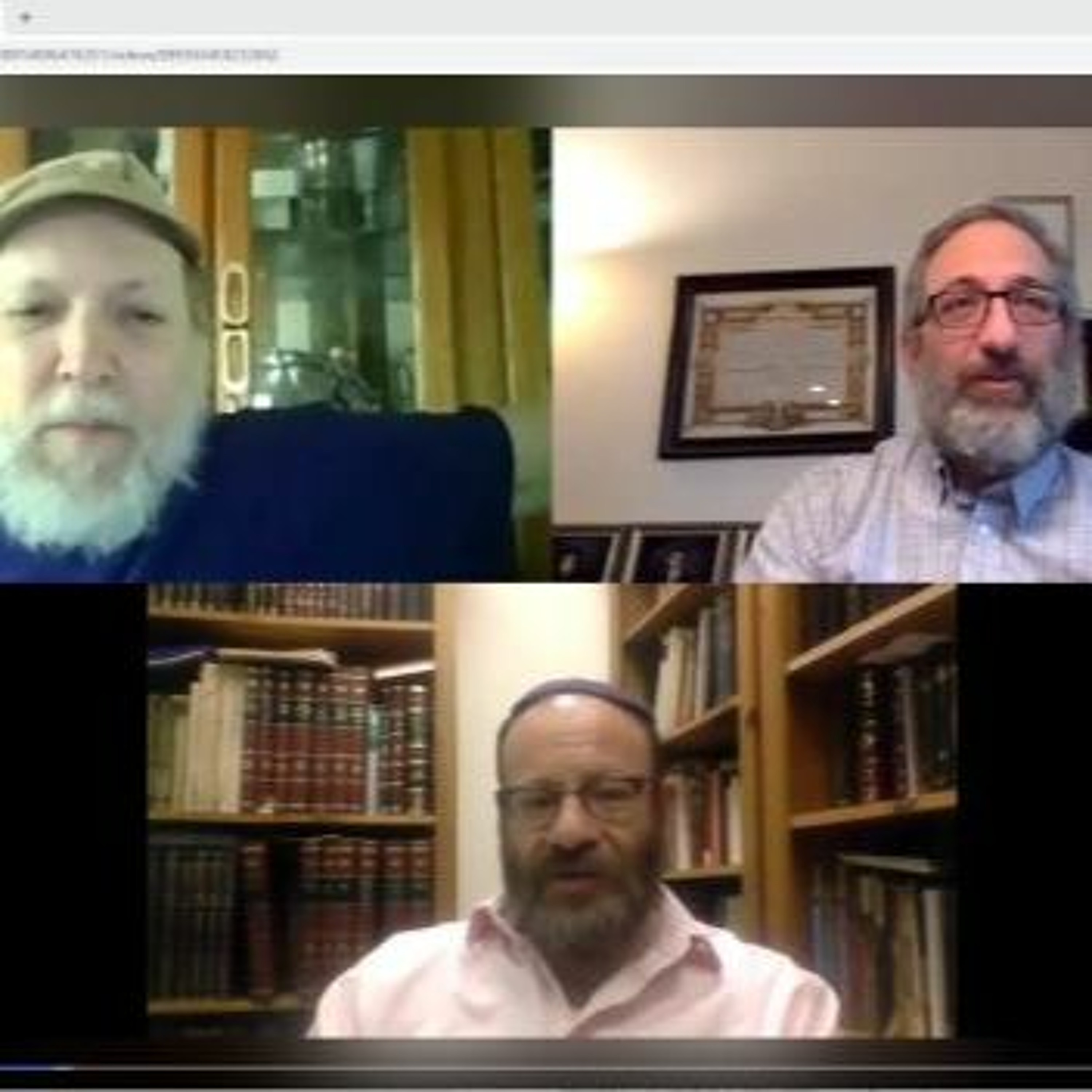 Parsha Talk Eikev 2021 - With Rabbis Eliot Malomet, Jeremy Kalmanofsky and Barry Chesler episode artwork