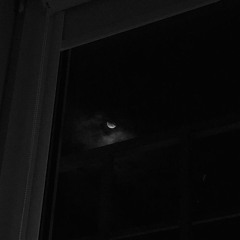 mayaewk - In the Dark