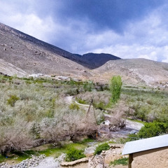 Pa yari na pohede. Afsar Afghan. Rashid