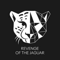 JAKE M - Revenge of the Jaguar promo.wav