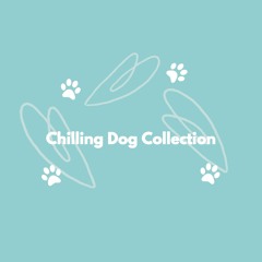 Piano Duo Jazz Soundtrack for Awesome Pups
