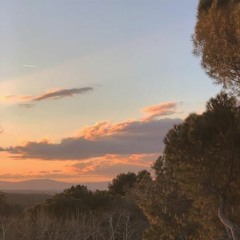 good days - sza (cover)