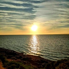 Waves 2 (2024 Liquid Mix)