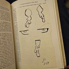 leslie feist i wish i didn't miss you