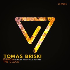 PREMIERE: Tomas Briski - Eunoiá (Rokazer Remix) [Constellation Music]