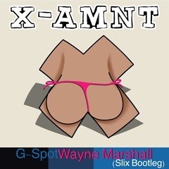 Wayne Marshall -G Spot - Slix Remix - XAMNTB007