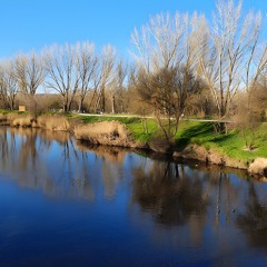 LF - Las aves del río y del Soto