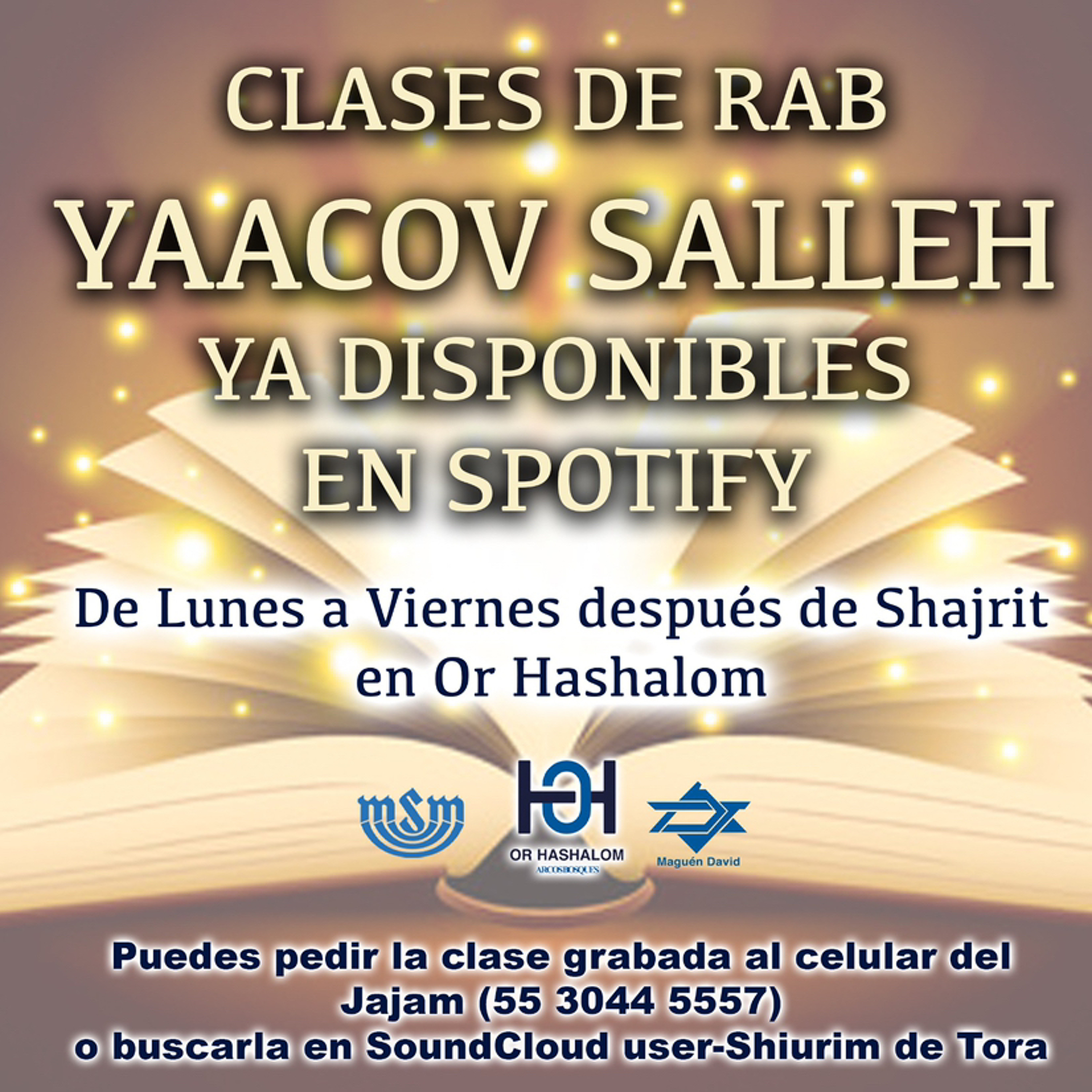 Shiurim de Torá