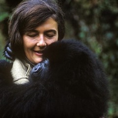 Dian's Ballad - 2020 - 10 - 15, 2.49 PM