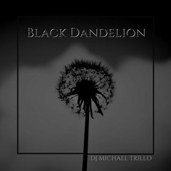 Black Dandelion