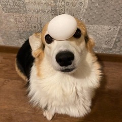 …