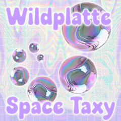 [PREMIERE] Wildplatte - Space Taxy
