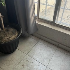 ren - euphoria (nineslay)