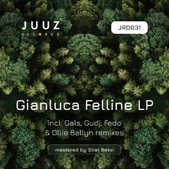 Gianluca Felline - Pirates (Gals Remix)