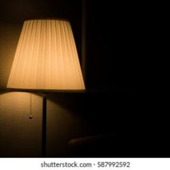Shutterstock Lamp Slop(lazy)