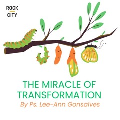 The Miracle Of Transformation