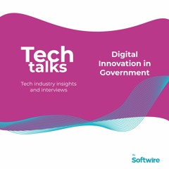 Digital Innovation in Government