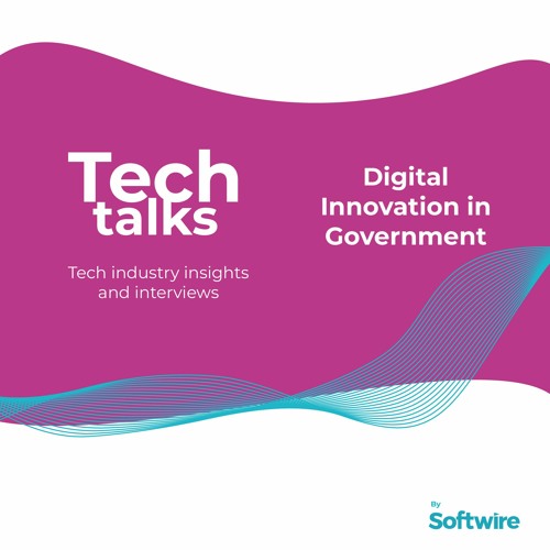 Digital Innovation in Government