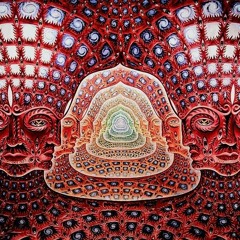 Insight Trippers - The Power of Now