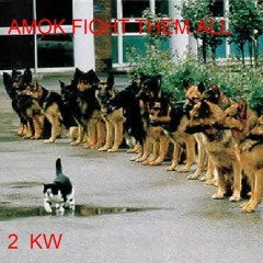 Fnl Trck 4 blck smmr