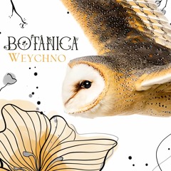 Botânica By Weychno
