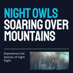 night owls & intro