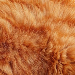 Wipppps (Lost Files - Low Rez Mix)