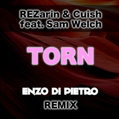 REZarin & Cuish feat. Sam Welch - Torn (Enzo Di Pietro Remix)