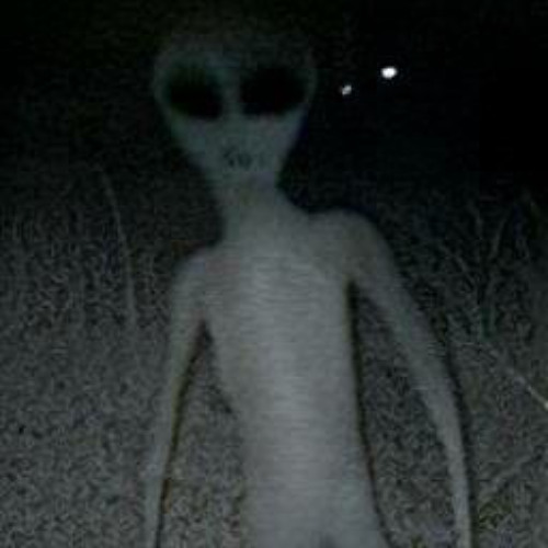 Вооружен w/Wenarmanittynto(onehotnife)