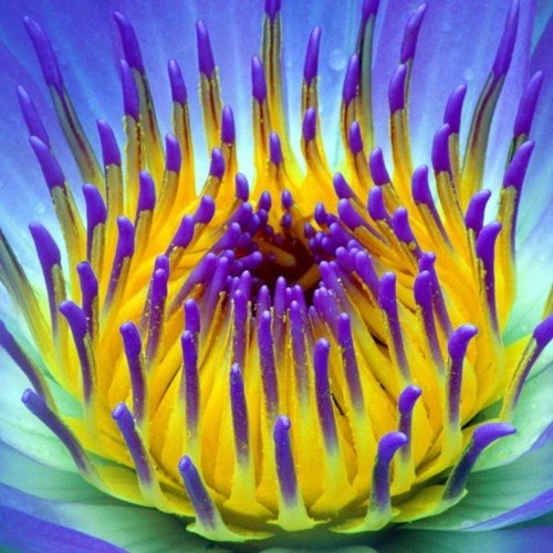 MiNi Project - Last One Standing