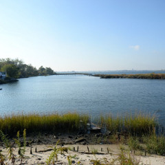 impolish syngene (prod. glistn)