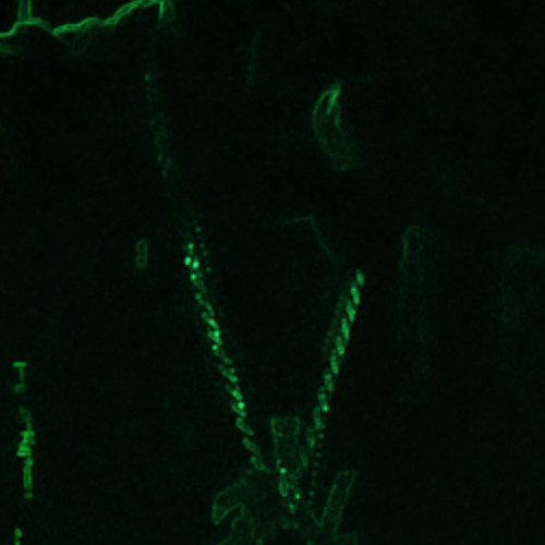 "Top Stunna" -demon Lilfye.m4a
