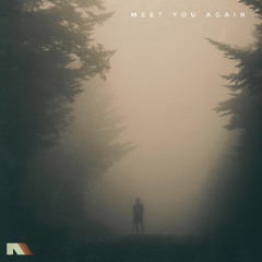 Meet You Again