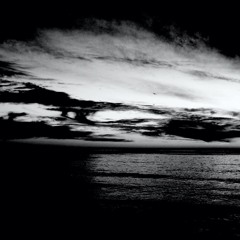 In the Shallows