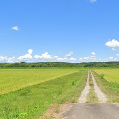michikusa
