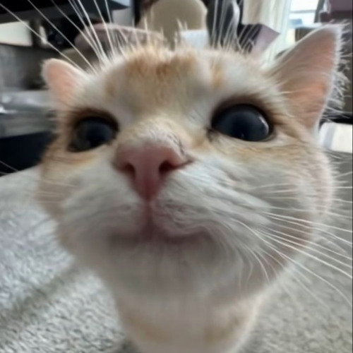 TISO - Brianjcb (prod.Neil)