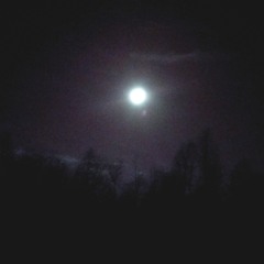 Meet Me In The Valley Of Trees (prod.NIGHTMARE CHOIR)