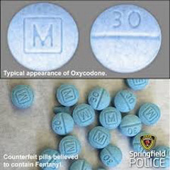 YERC SCAMMER FREESTYLE-OFFTHEGL3