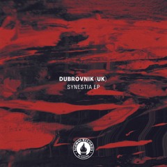 Out Now: Dubrovnik (UK) - Synestia EP [ARG108]