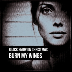 Burn My Wings