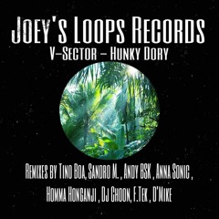 V - Sector - Hunky Dory (DJ CHOON REMIX)