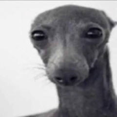 A Very Sad Song Ft. Lil Gremlin