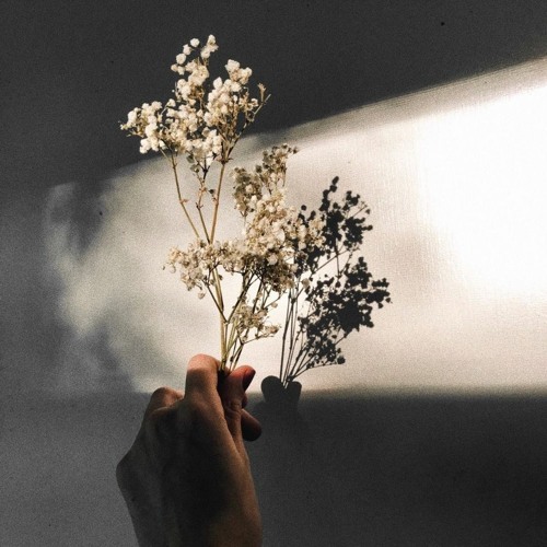 bored X 4EVRSHX - Lost It All *not for sale*