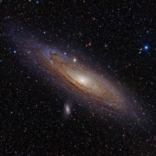 Andromeda