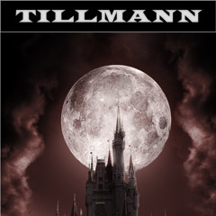 Tillmann - 2025 - Phase X - 07 - Der Mond ist aufgegangen (Tangerine Dream Cover)