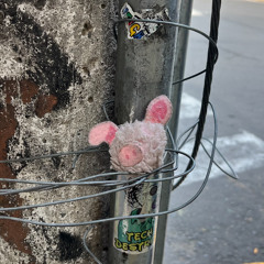 Renaissonic Radio 8/19/2025