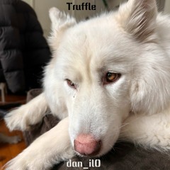 Truffle