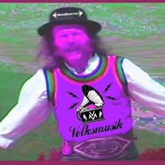 Die Mayrhofner - Schei-wi-dei-wi-du (Network Beatz Remix)