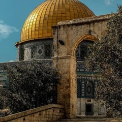 زهرة المدائن- فيروز